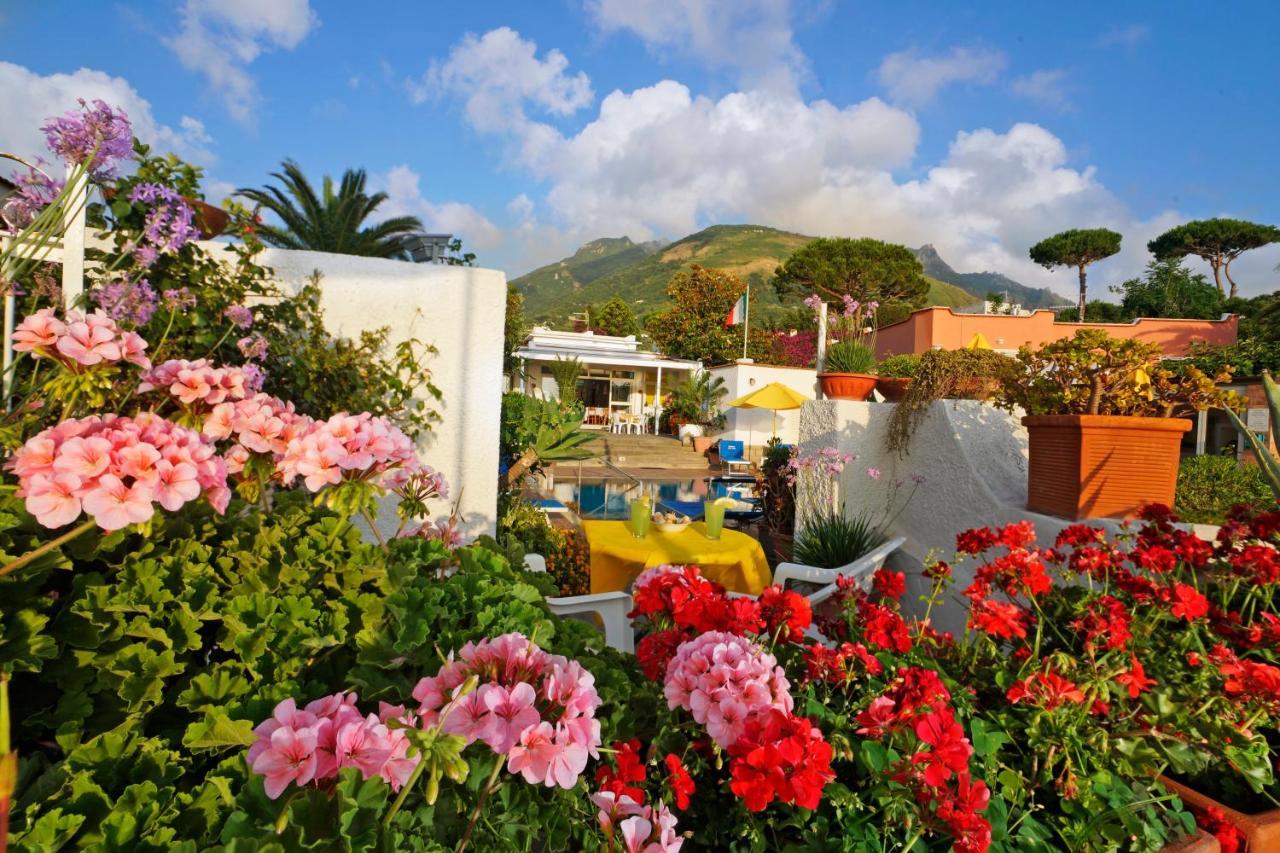 Hotel Villa Mena Forio  ภายนอก รูปภาพ